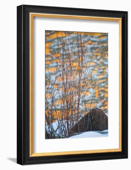 Utah, Colorado River Ice and Canyon Wall Reflections, Moab-Judith Zimmerman-Framed Photographic Print