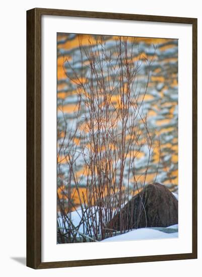 Utah, Colorado River Ice and Canyon Wall Reflections, Moab-Judith Zimmerman-Framed Photographic Print