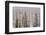 Utah, Fishlake National Forest. Aspen and Conifer Trees-Jaynes Gallery-Framed Photographic Print