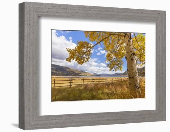 Utah, Fishlake National Forest. Landscape of Fish Lake and Mountains-Jaynes Gallery-Framed Photographic Print