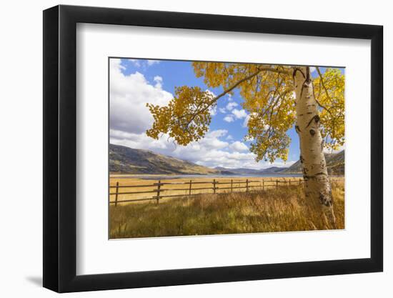 Utah, Fishlake National Forest. Landscape of Fish Lake and Mountains-Jaynes Gallery-Framed Photographic Print