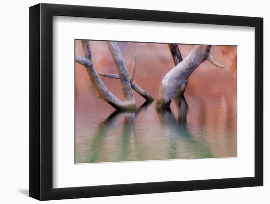 Utah, Glen Canyon Recreation Area. Dead Cottonwood Trunks in Lake-Don Paulson-Framed Photographic Print