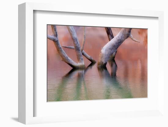 Utah, Glen Canyon Recreation Area. Dead Cottonwood Trunks in Lake-Don Paulson-Framed Photographic Print