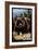 Utah - Grizzly Bear - Scratchboard-Lantern Press-Framed Art Print