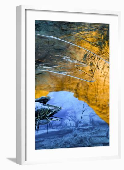 Utah, Icy Reflections of Canyon Wall in Stream in Hunter Canyon, Moab-Judith Zimmerman-Framed Photographic Print