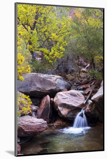 Utah, Kanarraville, Kanarra Creek Canyon-Jamie And Judy Wild-Mounted Photographic Print