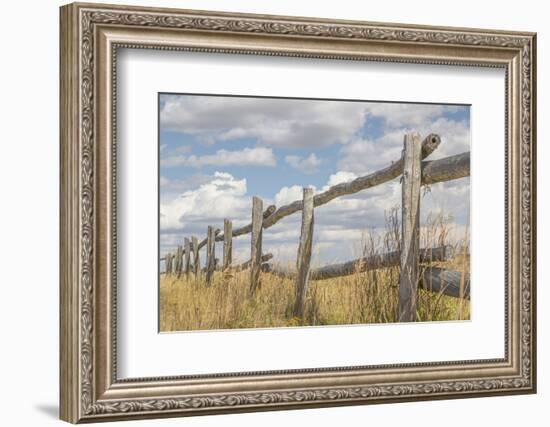 Utah, Manti-La Sal National Forest. Old Wooden Fence-Jaynes Gallery-Framed Photographic Print