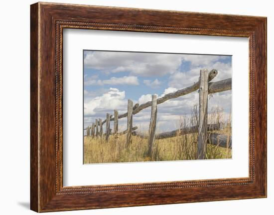 Utah, Manti-La Sal National Forest. Old Wooden Fence-Jaynes Gallery-Framed Photographic Print