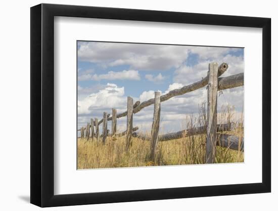 Utah, Manti-La Sal National Forest. Old Wooden Fence-Jaynes Gallery-Framed Photographic Print