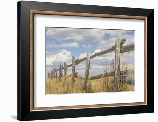 Utah, Manti-La Sal National Forest. Old Wooden Fence-Jaynes Gallery-Framed Photographic Print