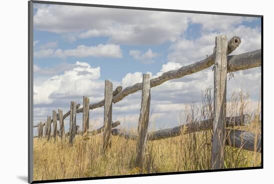 Utah, Manti-La Sal National Forest. Old Wooden Fence-Jaynes Gallery-Mounted Photographic Print