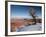 Utah, Moab, Dead Horse Point State Park, View of the Meander Canyon, Winter, USA-Walter Bibikow-Framed Photographic Print