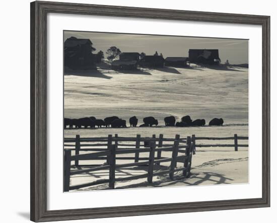 Utah, Mt. Carmel Junction, Buffalo Ranch, Winter, USA-Walter Bibikow-Framed Photographic Print