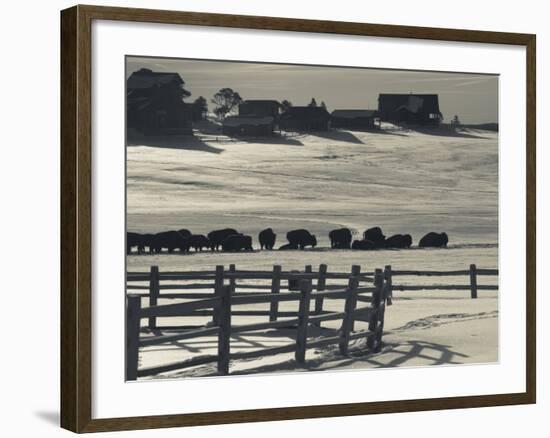 Utah, Mt. Carmel Junction, Buffalo Ranch, Winter, USA-Walter Bibikow-Framed Photographic Print