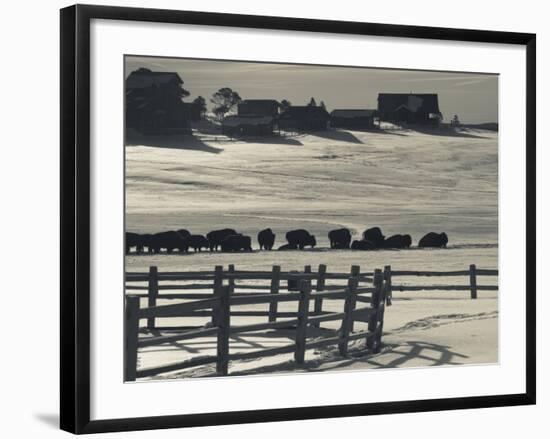 Utah, Mt. Carmel Junction, Buffalo Ranch, Winter, USA-Walter Bibikow-Framed Photographic Print