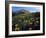 Utah. Mule's Ears in Bloom in Foothills of Oquirrh Mountains-Scott T. Smith-Framed Photographic Print