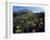 Utah. Mule's Ears in Bloom in Foothills of Oquirrh Mountains-Scott T. Smith-Framed Photographic Print