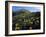 Utah. Mule's Ears in Bloom in Foothills of Oquirrh Mountains-Scott T. Smith-Framed Photographic Print