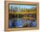 Utah. USA. Willows and Aspens in Autumn at Beaver Pond in Logan Canyon-Scott T. Smith-Framed Premier Image Canvas