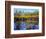 Utah. USA. Willows and Aspens in Autumn at Beaver Pond in Logan Canyon-Scott T. Smith-Framed Photographic Print