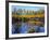 Utah. USA. Willows and Aspens in Autumn at Beaver Pond in Logan Canyon-Scott T. Smith-Framed Photographic Print