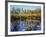 Utah. USA. Willows and Aspens in Autumn at Beaver Pond in Logan Canyon-Scott T. Smith-Framed Photographic Print