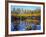 Utah. USA. Willows and Aspens in Autumn at Beaver Pond in Logan Canyon-Scott T. Smith-Framed Photographic Print