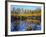 Utah. USA. Willows and Aspens in Autumn at Beaver Pond in Logan Canyon-Scott T. Smith-Framed Photographic Print