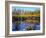 Utah. USA. Willows and Aspens in Autumn at Beaver Pond in Logan Canyon-Scott T. Smith-Framed Photographic Print