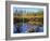 Utah. USA. Willows and Aspens in Autumn at Beaver Pond in Logan Canyon-Scott T. Smith-Framed Photographic Print