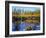 Utah. USA. Willows and Aspens in Autumn at Beaver Pond in Logan Canyon-Scott T. Smith-Framed Photographic Print