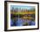 Utah. USA. Willows and Aspens in Autumn at Beaver Pond in Logan Canyon-Scott T. Smith-Framed Photographic Print