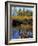 Utah. USA. Willows and Aspens in Autumn at Beaver Pond in Logan Canyon-Scott T. Smith-Framed Photographic Print