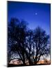 Utah. Venus, the Moon, and Jupiter in a Compact Grouping in the Sky-Scott T. Smith-Mounted Photographic Print