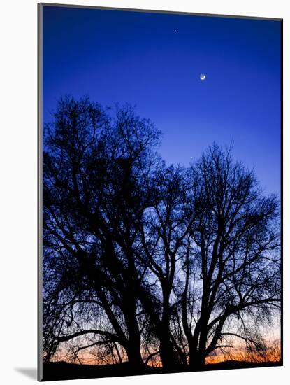 Utah. Venus, the Moon, and Jupiter in a Compact Grouping in the Sky-Scott T. Smith-Mounted Photographic Print