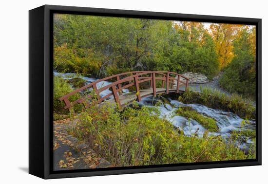 Utah, Wasatch Cache National Forest. Bridge over Stream-Jaynes Gallery-Framed Premier Image Canvas