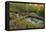 Utah, Wasatch Cache National Forest. Bridge over Stream-Jaynes Gallery-Framed Premier Image Canvas