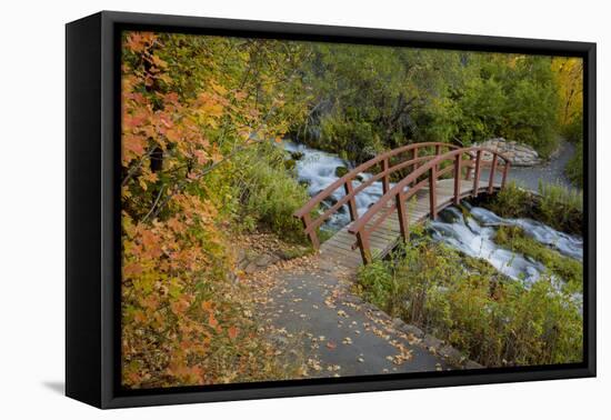 Utah, Wasatch Cache National Forest. Bridge over Stream-Jaynes Gallery-Framed Premier Image Canvas