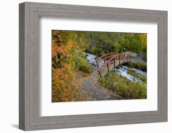 Utah, Wasatch Cache National Forest. Bridge over Stream-Jaynes Gallery-Framed Photographic Print