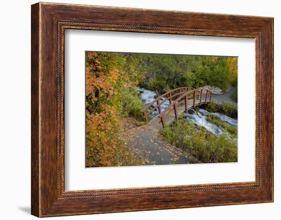 Utah, Wasatch Cache National Forest. Bridge over Stream-Jaynes Gallery-Framed Photographic Print