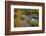 Utah, Wasatch Cache National Forest. Bridge over Stream-Jaynes Gallery-Framed Photographic Print