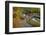 Utah, Wasatch Cache National Forest. Bridge over Stream-Jaynes Gallery-Framed Photographic Print