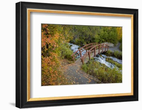 Utah, Wasatch Cache National Forest. Bridge over Stream-Jaynes Gallery-Framed Photographic Print