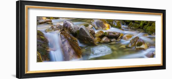 Utah, Wasatch Cache National Forest. Scenic of Little Cottonwood Creek-Jaynes Gallery-Framed Photographic Print