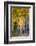 Utah. Yellow Aspen, Flaming Gorge National Recreation Area-Judith Zimmerman-Framed Photographic Print