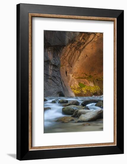 Utah, Zion National Park. Autumn Foliage on Wall Inside the Narrows, with Rocks and Virgin River-Judith Zimmerman-Framed Photographic Print