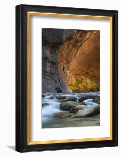 Utah, Zion National Park. Autumn Foliage on Wall Inside the Narrows, with Rocks and Virgin River-Judith Zimmerman-Framed Photographic Print