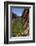 Utah, Zion National Park, Hikers Climbing Up West Rim Trail and Angels Landing-David Wall-Framed Photographic Print