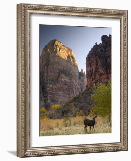 Utah, Zion National Park, the Great White Throne, USA-Alan Copson-Framed Photographic Print