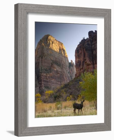 Utah, Zion National Park, the Great White Throne, USA-Alan Copson-Framed Photographic Print